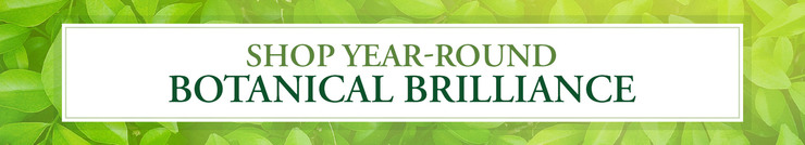 Shop Year-Round Botanical Brilliance