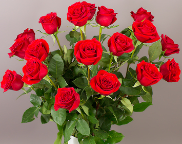Roses