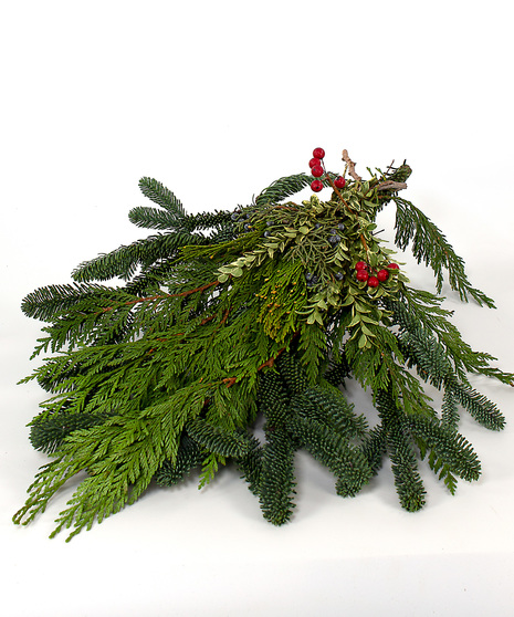 Winter Green Bunches