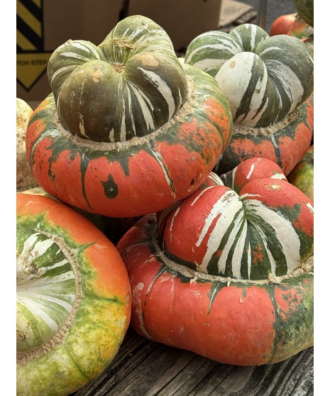 Turbin Squash