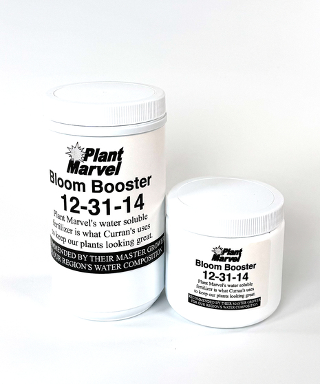 Bloom Booster