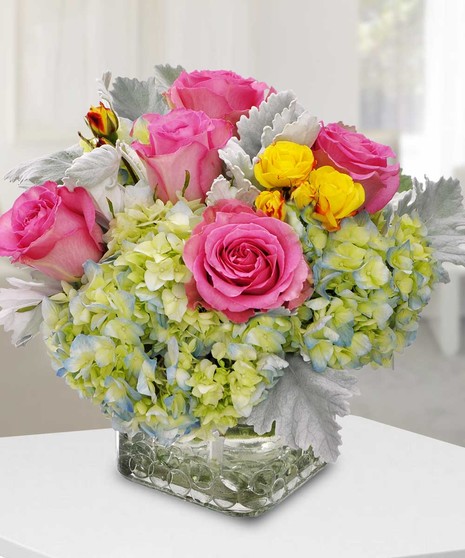 What a perfect display to welcome a new baby boy or girl! This adorable cube is filled with pink roses, blue hydrangea and yellow spray roses.