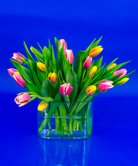 Tulip Vase