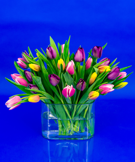 Our Dutch tulip vase is a collection of imported tulips in a simple glass 