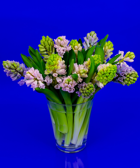 Dutch Hyacinth Vase