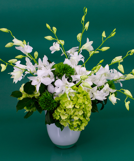 St Patrick's Day Orchids
