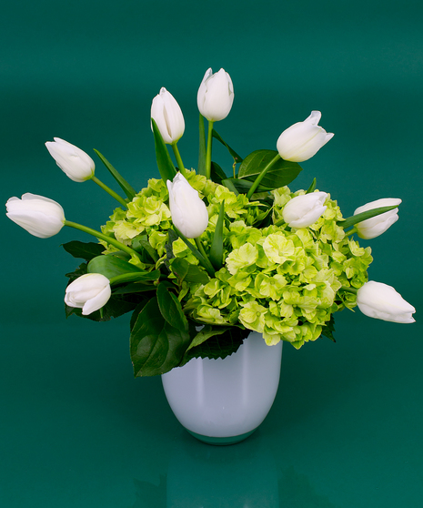 St Patrick's Tulips