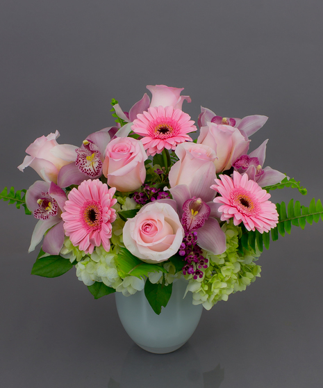 Sweet Kiss - Same Day Delivery, Danvers MA