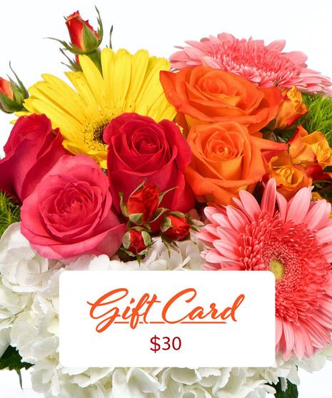 Gift Card $30