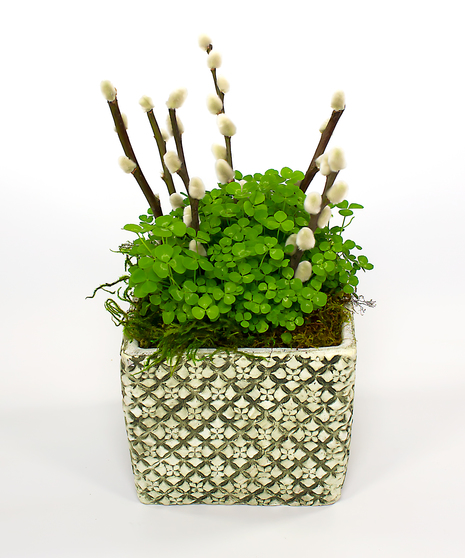 Currans Clover Planter