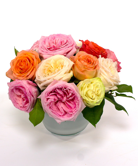 We have partnered with farms who grow beautifully fragrant garden roses to bring you the Nantucket Rose arrangement. 