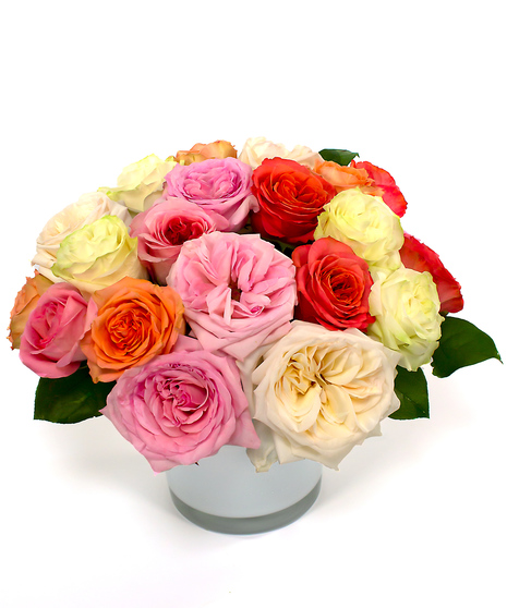 Nantucket Rose