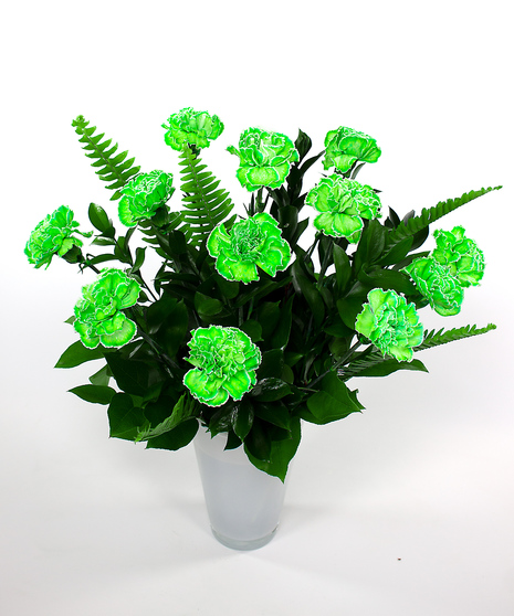  St. Patrick's Day Carnations  - Same Day Delivery Danvers, MA