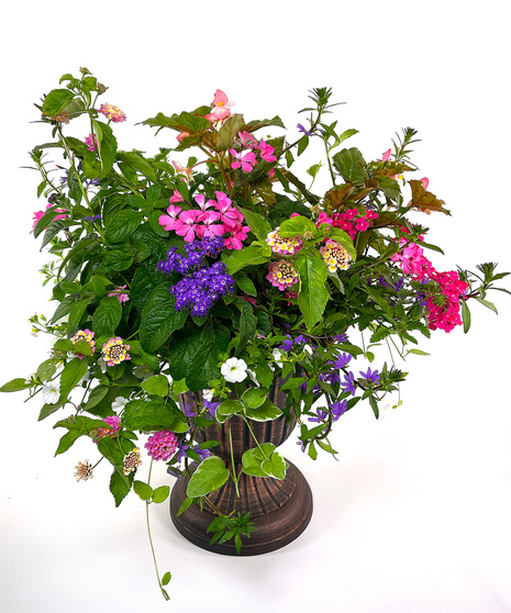 Summer Porch Pleaser