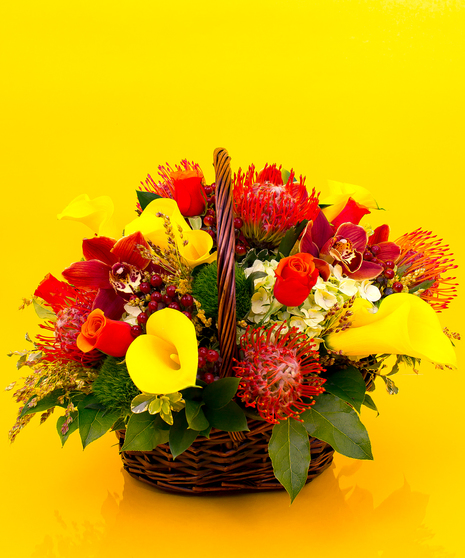 Collected in the Autumn Chic Basket are beautiful hydrangea, pin cushion protea, cymbidium orchids, calla lilies, roses, green ball dianthus, and hypericum berries.