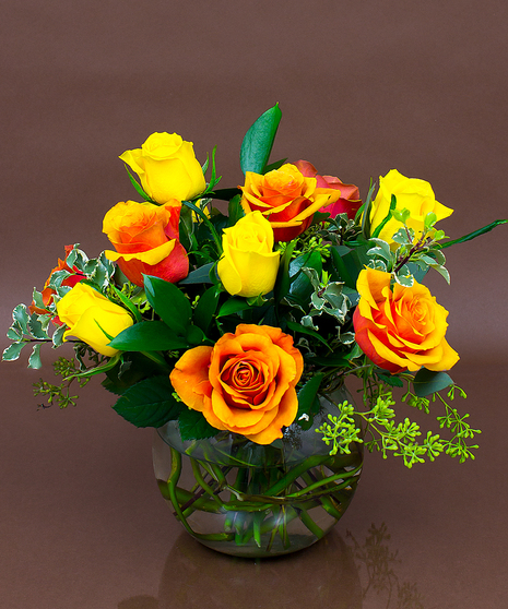 Fall Colored Roses - Danvers, MA