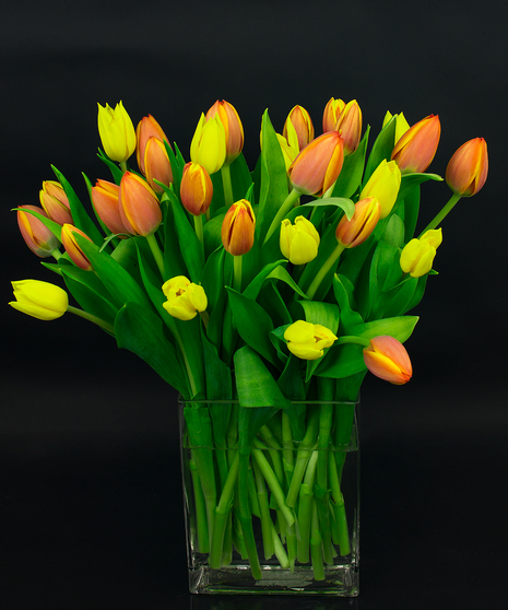 Our Autumn tulip vase is a collection of imported tulips in a simple glass 