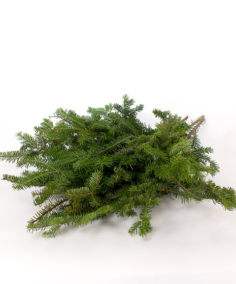 Short Balsam Bunches