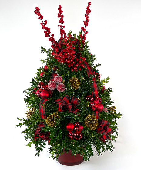 We've taken the finest premium boxwood tips from Virginia and designed a beautiful boxwood tree, then trimmed it with lights and beautiful ribbons, cones and ball clusters.