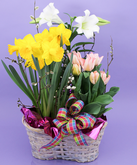 Easter Bulb Basket