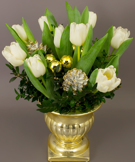 White Christmas Tulips!