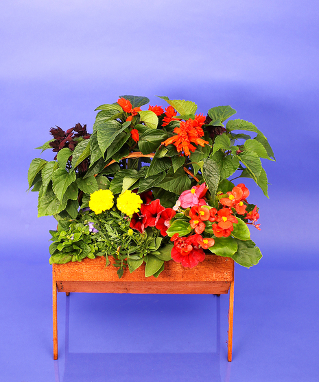 Cemetery Basket - 12