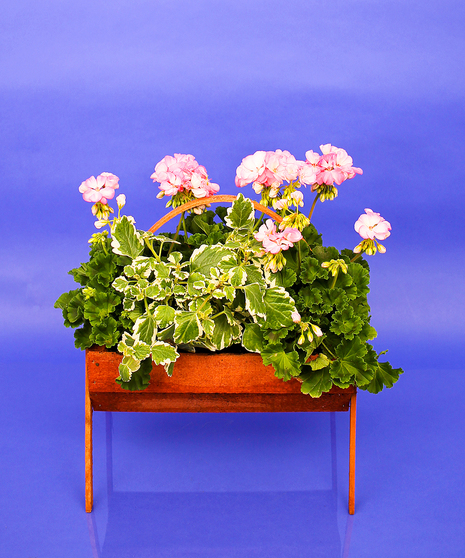 Cemetery Basket - 12