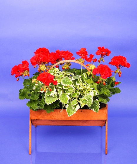 Cemetery Basket - 12