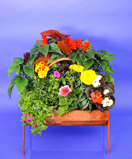 Cemetery Basket - 14