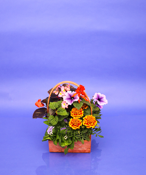 Cemetery Basket - Square Living Mix