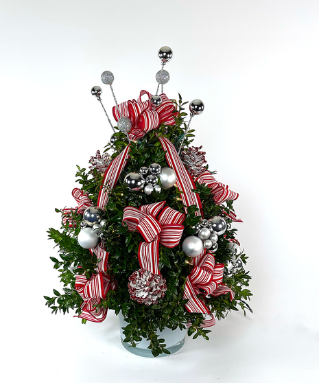 Sugared Candy Stripe Boxwood Tree