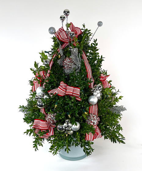 We've taken the finest premium boxwood tips from Virginia and designed a beautiful boxwood tree, then trimmed it with lights and beautiful ribbons, cones and ball clusters.