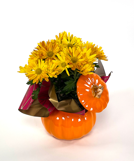 Indoor Pumpkin Planter