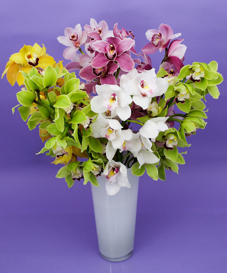 Lush Cymbidium Vase