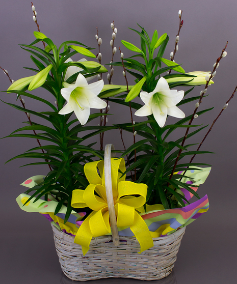 Easter Lily Basket