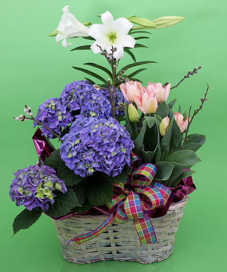 Easter Plant Basket