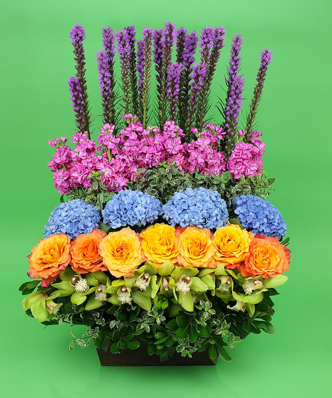 Garden Hedge Arrangement