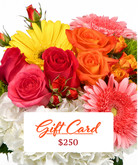 Gift Card $250