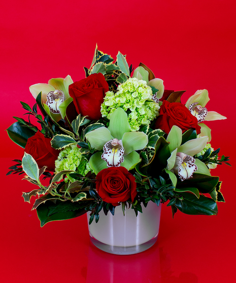 Holly & Roses