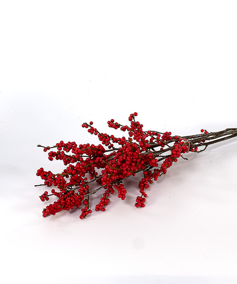 Holiday Berry Bunches