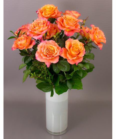 Long Stemmed Orange Roses