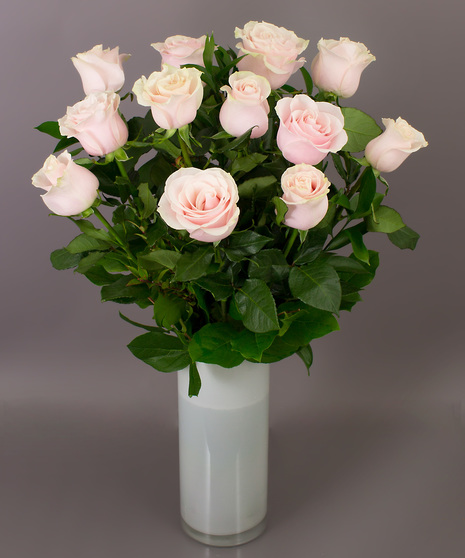 Long Stemmed Pink Roses