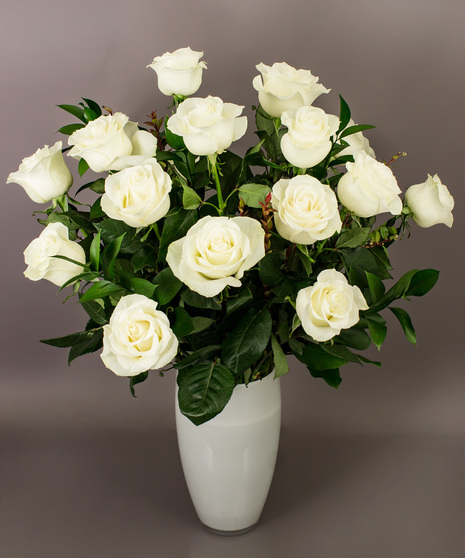 Long Stemmed White Roses Danvers, MA