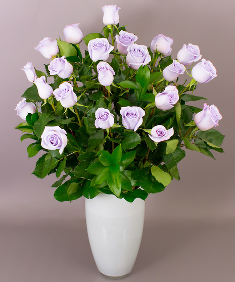 Lavender roses are so soft and gentle. We chose them because of their consistent lavender color.