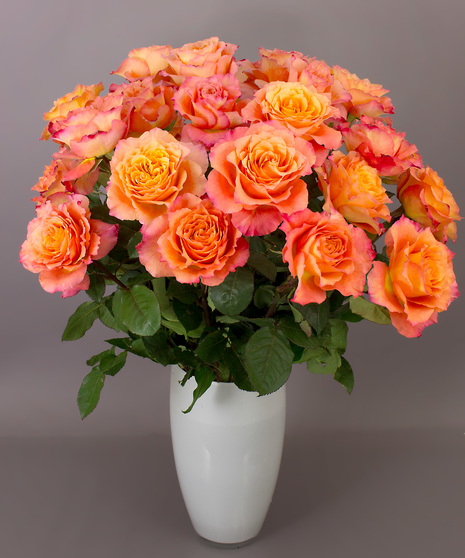 These orange roses are amazing, that's why they are my personal favorite! 