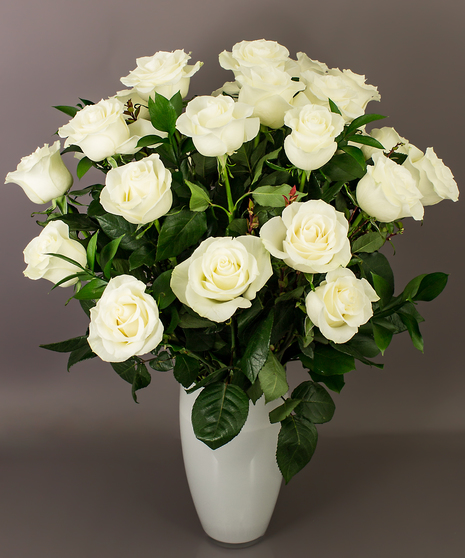 Long Stemmed White Roses Danvers, MA