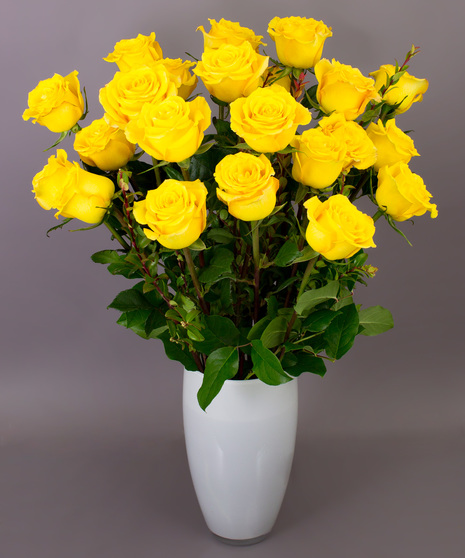 Long Stemmed Yellow Roses - Danvers, MA Delivery - Currans Flowers