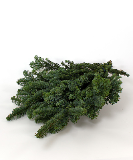 Noble Fir Bunches