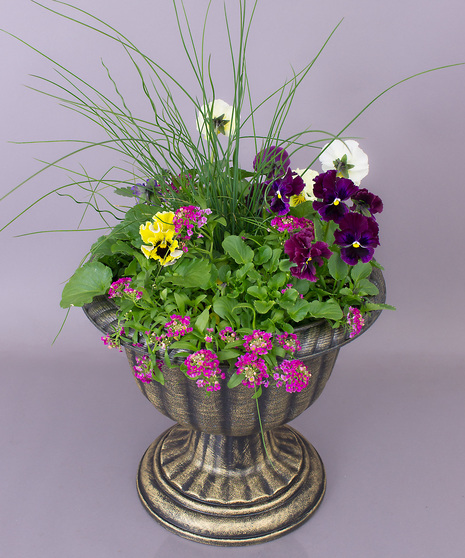 Pansy Urn Planter