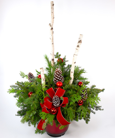 Large Birch Planter